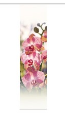 Schiebevorhang Deko blickdicht