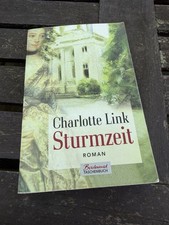 Sturmzeit : Roman