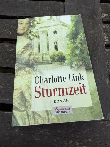 Sturmzeit roman - sturmzeit:,
