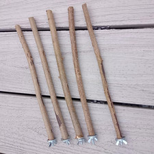 Sitzstangen für Vögel Natur