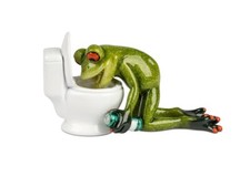 formano Dekofigur Frosch vor Toilette Kunststein