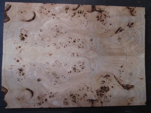 Poplar burl maserpappel decke - poplar,