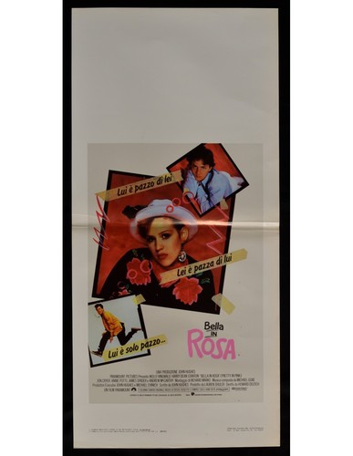 Plakat bella rosa molly - bella, in