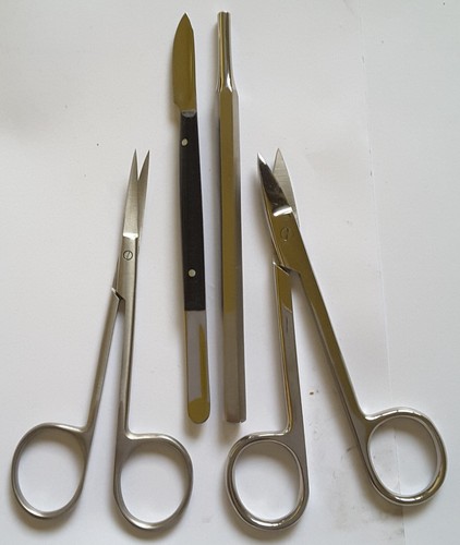 4er set dental - 4er, schere