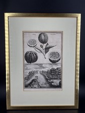 P. DECKER (1677-1713) Barocker