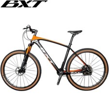 BXT 29er Carbon Mountainbike