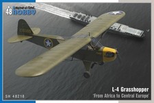 L-4 Grasshopper From Africa to