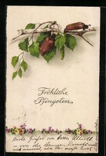 Künstler-AK Zwei Maikäfer am Ast einer Birke, Pfingstgruß 1924 