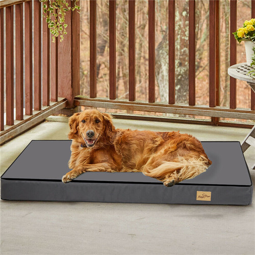 Orthopädisch hundebett xxxl - orthopädisch,