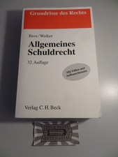 Allgemeines Schuldrecht - Mit Fällen und Aufbauschemata. Grundrisse des Rechts. 