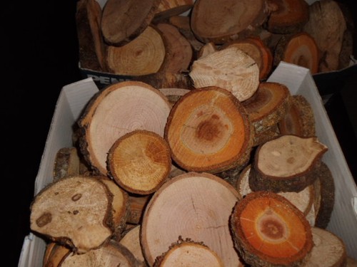 Holzscheiben rund holz - holzscheiben, rund,
