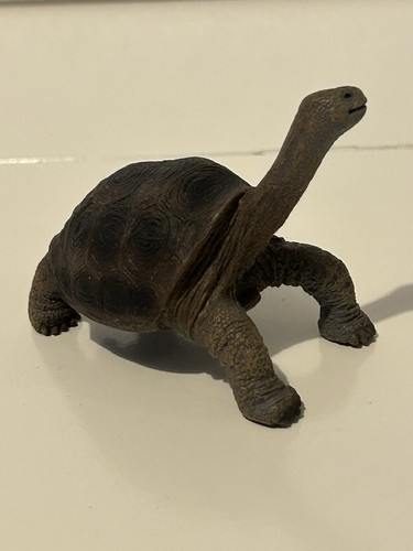 Collecta pinta island tortoise - island,