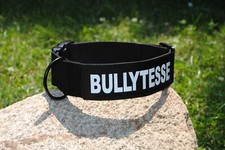 NEU Halsband Nylon 5cm breit