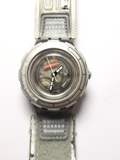 Swatch access snowpass - access,
