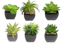 Kaktus 15 cm in schwarzen Dekotopf PF Kunstpflanzen künstlicher Kaktus Kakteen