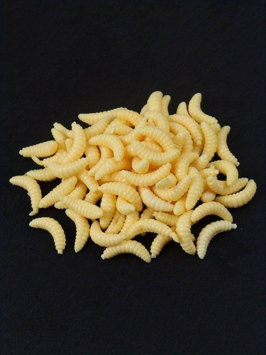 25x künstliche bienenmaden - künstliche,