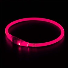 LED Hundehalsband USB