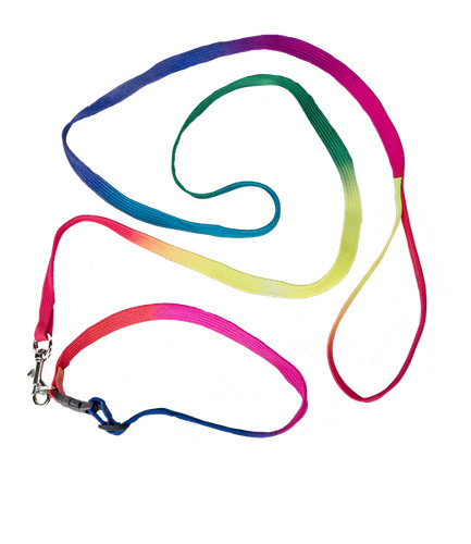 Regenbogen halsband leine - regenbogen,
