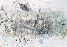 Original tierbild - original,