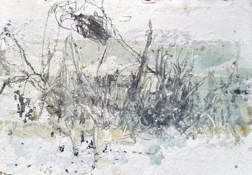Original tierbild - original,