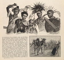 1885 Holzstich wood engraving