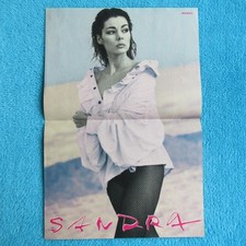 SANDRA BRAVO POSTER 2 Seiten Jordan Knight NKOTB New Kids on the Block