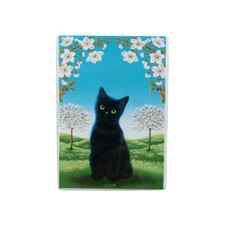 Villeroy boch vilbocard - villeroy,