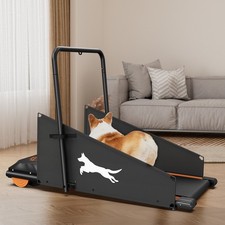 Pet dog treadmill running - pet,