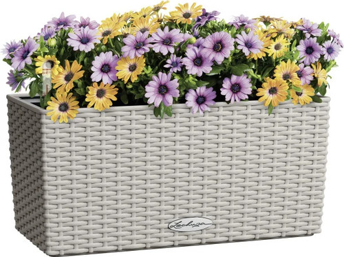 Lechuza blumenkasten set - lechuza, blumenkasten-set