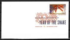 Usa chinese new - year:, of