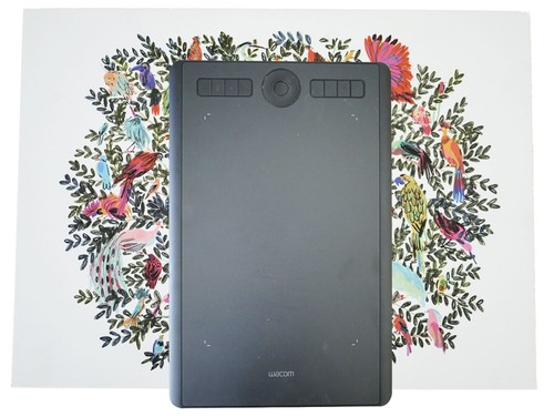Genuine wacom intuos pro - wacom,