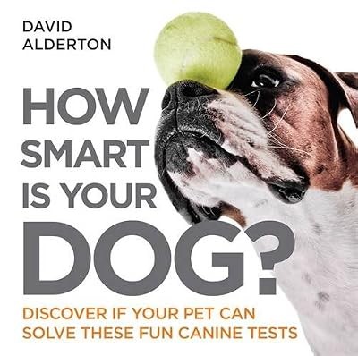 How smart your - is,
