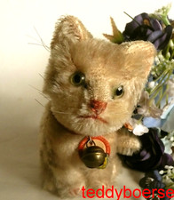 alte STEIFF KATZE • Susi • 10 cm • ohne Knopf mit Schild •50/60er J. guter Zust.