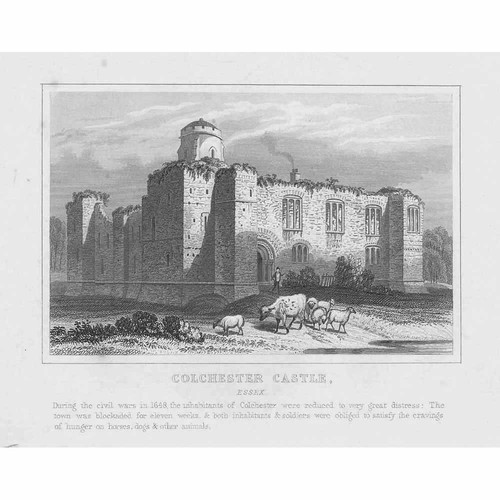 Essex colchester castle - essex,