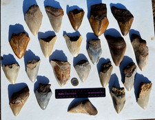 ERSTAUNLICHER WERT.... 100%