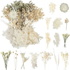 Getrocknete Blumen