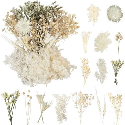 Getrocknete blumen - getrocknete,