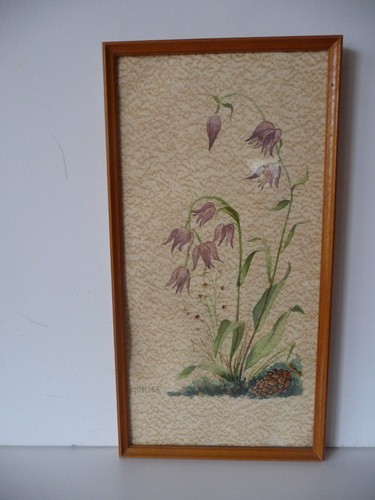 Aquarell glockenblumen - aquarell,