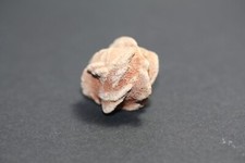 Barytrose (Wüstenrose)