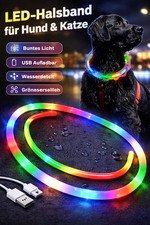 LED-Leuchthalsband für Hund &
