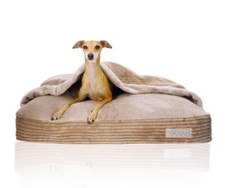 DOTTY Kuschelhöhle Kuscheliges Hundebett Hundenest Katzenhöhle mit Decke Plusch