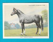 PFERDESORTEN - KARTE NR. 9 -