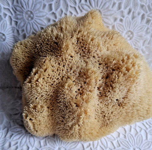 Großer naturschwamm 13x 11cm - naturschwamm,
