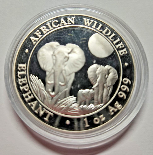 American wildlife elephant - wildlife,