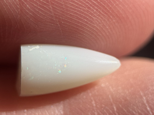 Coober pedy fossiler opal - fossiler,
