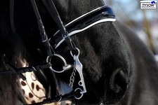 Kandare Leder Kandare Black