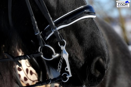Kandare leder black - kandare,