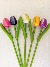 5 Holland Holztulpen Tulpen