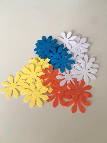 Neu margeriten 5 cm - 2,5,