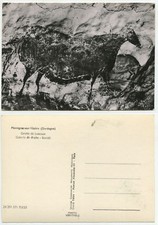 01584 - Lascaux - Höhlenmalerei - Stier - Montignac-sur-Vezere  -alte AK